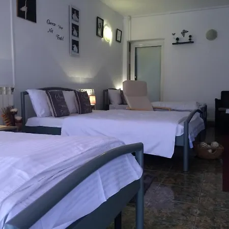 Casa Julius Penzion *